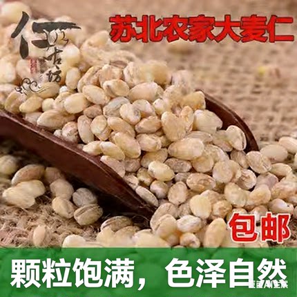 农家去皮新大麦仁高纤粗粮早餐代餐煮粥打豆浆大麦米新麦仁包邮