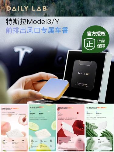 DAILYLAB特斯拉车载香薰摆件礼盒
