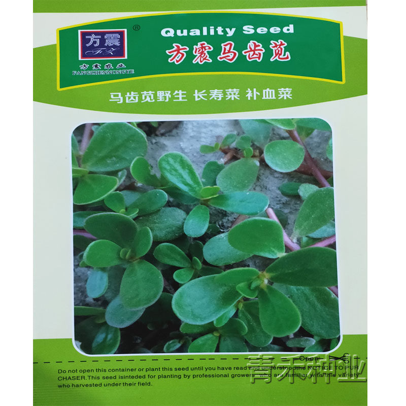 方震马齿苋种籽野生青叶菜籽春季秋季易种蔬菜种孑农家菜园菜种子