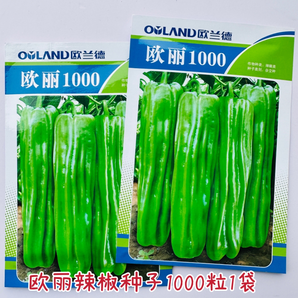 欧兰德辣椒种子欧丽1000辣椒种籽皮薄微辣青椒种孑大果泡椒蔬菜种