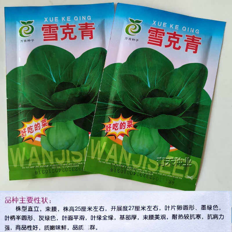 雪克青束腰青菜种籽子耐热耐寒抗病农家阳台盆栽四季小青菜蔬菜子