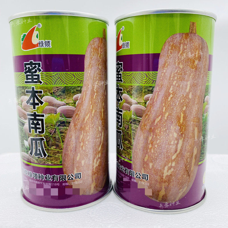 绿领蜜本南瓜种籽孑春季大田超甜粉面香糯丰产易种南瓜籽蔬菜种子,鲜花速递/花卉仿真/绿植园艺,家庭园艺种子,淘宝优惠券,粉丝福利购,淘宝优惠卷