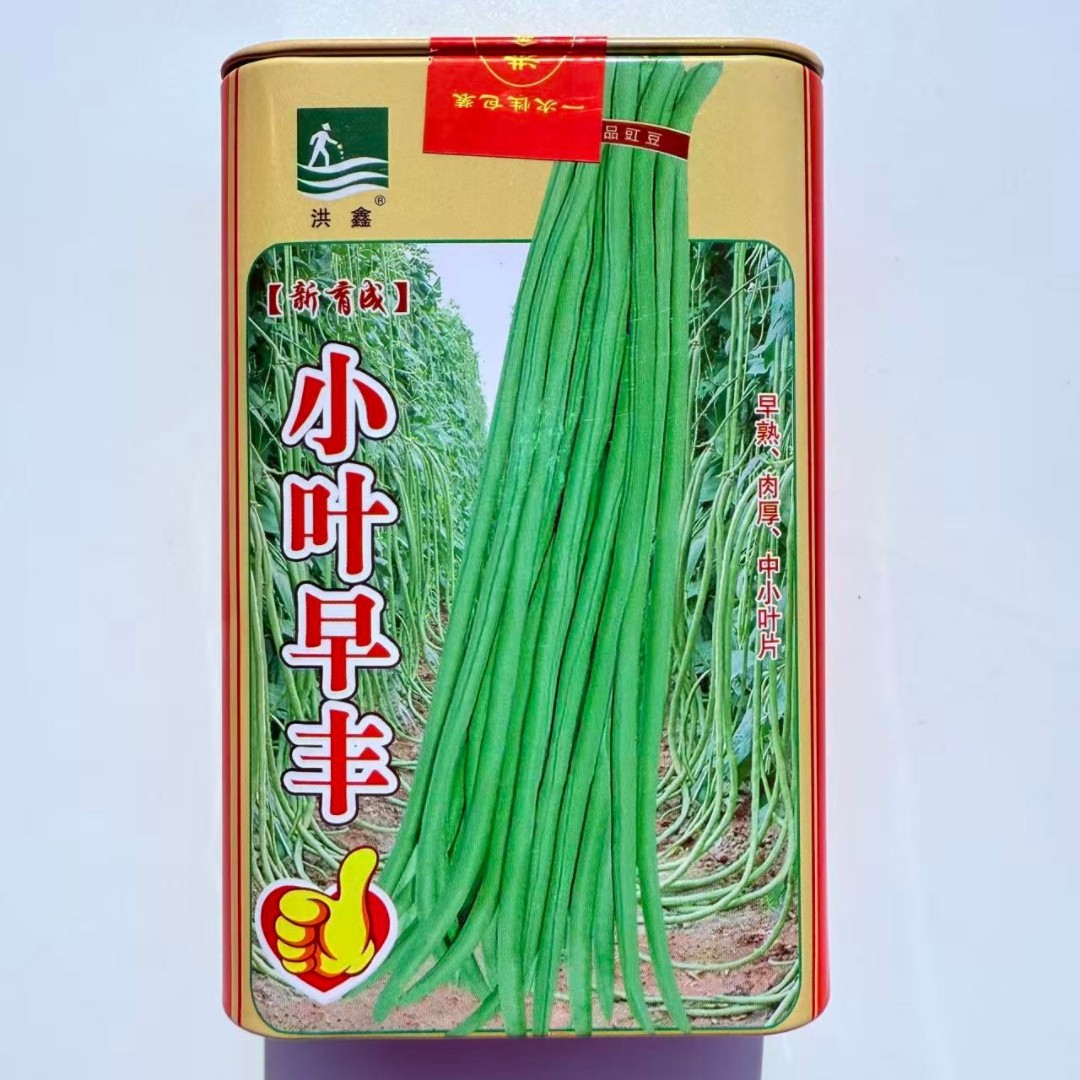 小叶早丰豇豆种子早熟肉厚豆角种籽春秋播长豆角籽蔬菜种孑菜籽种
