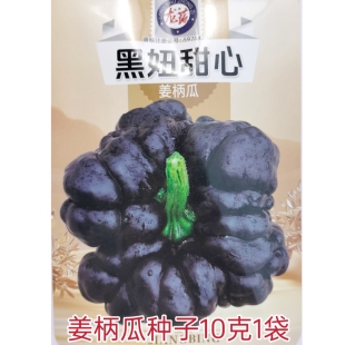黑妞甜心姜柄瓜种子农家春播扁圆小南瓜种籽中早熟南瓜蔬菜种孑籽