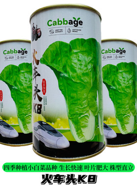 火车头K8小白菜种子快菜种籽农家菜园阳台四季蔬菜种孑航白菜种孑