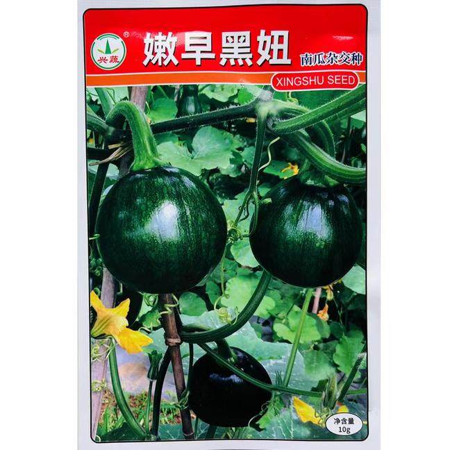 嫩早黑妞早熟圆葫芦南瓜种子丰产抗病耐寒农家春秋季蔬菜南瓜种籽,鲜花速递/花卉仿真/绿植园艺,家庭园艺种子,淘宝优惠券,粉丝福利购,淘宝优惠卷