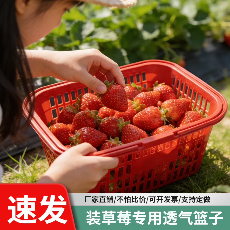厂家直销草莓篮子塑料手提水果筐樱桃杨梅桑葚采摘篮批发包邮