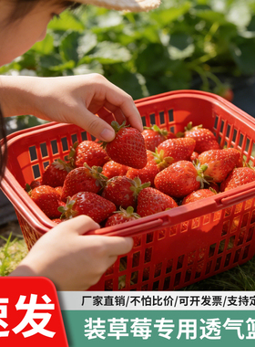 厂家直销草莓篮子塑料手提水果筐樱桃杨梅桑葚采摘篮批发包邮