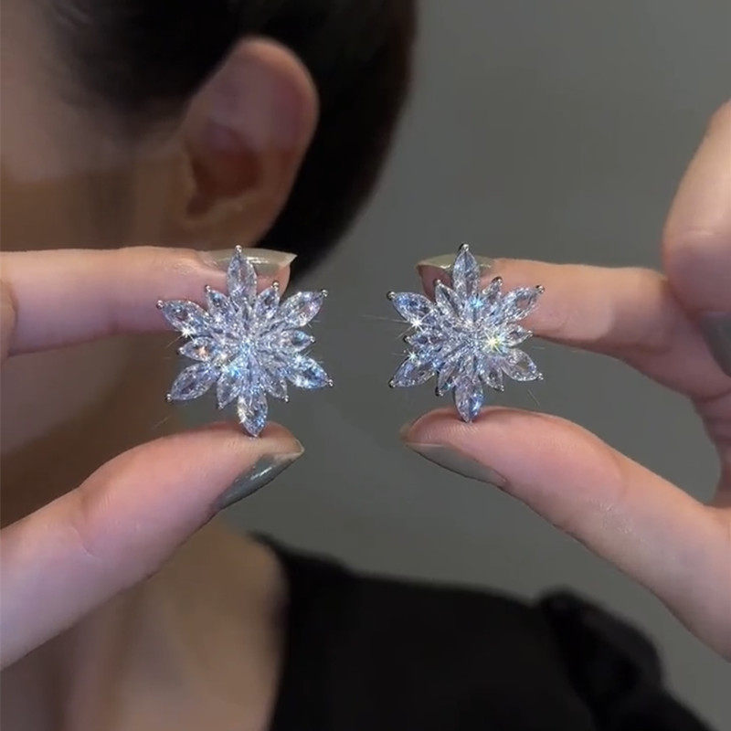 超闪锆石花朵银针耳环精致百搭气质水晶耳钉女2025年新款轻奢耳饰,饰品/流行首饰/时尚饰品新,耳钉,淘宝优惠券,粉丝福利购,淘宝优惠卷