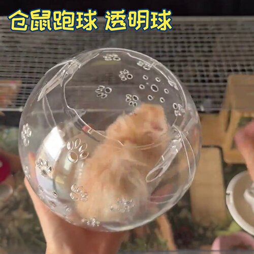 仓鼠跑球跑轮金丝熊跑步运动滚球滚轮造景玩具用品大全遛鼠外带笼