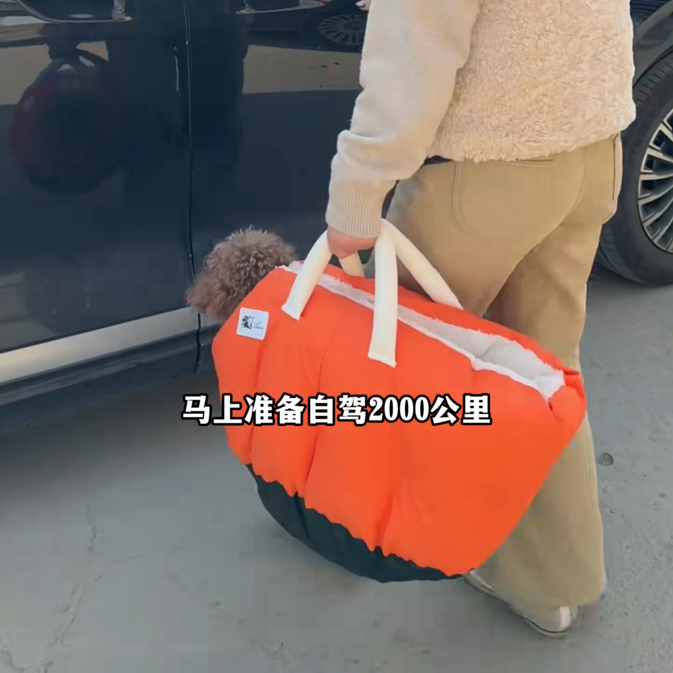 狗窝冬季保暖加绒加厚手提车载宠物包半封闭式小型犬猫窝垫批发,宠物/宠物食品及用品,猫窝/屋/帐篷/沙发,淘宝优惠券,粉丝福利购,淘宝优惠卷