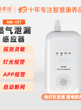 爱牵挂 家庭厨房饭店餐饮液化气报警器燃气报警器家用煤气报警器天然气报警器HA04