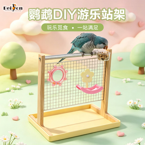 鹦鹉站架训练桌面定点排便