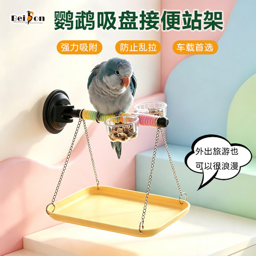 鹦鹉站架训练桌面定点排便