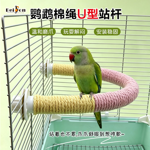 鹦鹉站杆玄凤虎皮牡丹小太阳