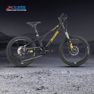 xds喜德盛碳翼先锋碳纤维自行车骑灵20 24轮径青少年男女学生单车