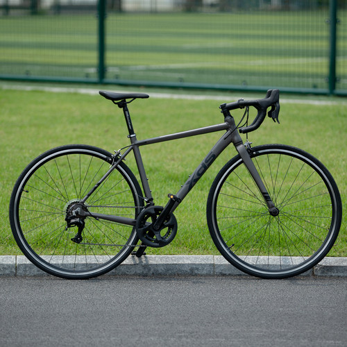 喜德盛14速入门公路车