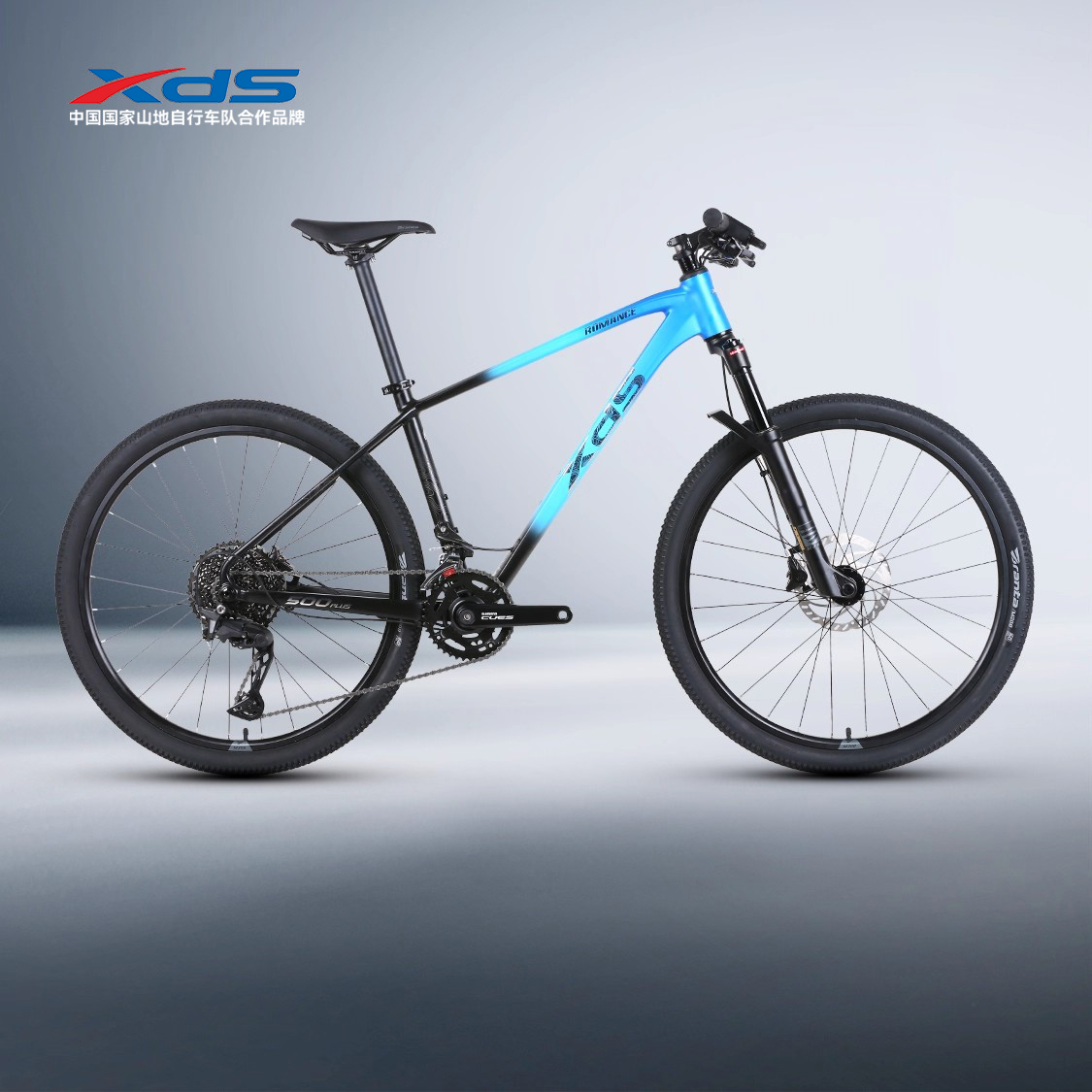 喜德盛2024新款传奇500PLUS