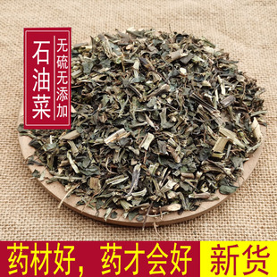 广西野生中草药石油菜 石觅菜 肥猪菜 打不死 疳积草一斤包邮