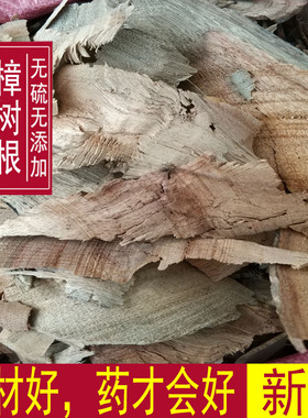包邮樟树木 中药材樟树木根 樟木 香樟树根 樟木 500克 樟树根