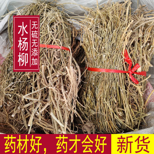 水杨柳中草药扯根菜500g赶黄草水泽兰细杨柳鹅白前草石蓝竹叶白前