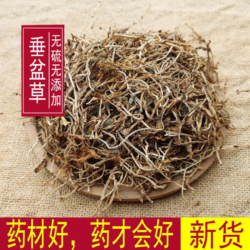 中药材野生垂盆草 无硫垂盆草 500g包邮