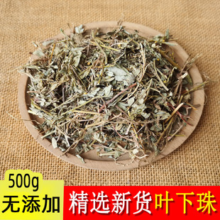 中药材正品叶下珠 野生 珍珠草 叶下珠茶新鲜干货鱼鳞草500g包邮