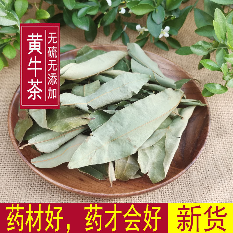 黄牛茶 黄牛木叶 500克包邮 干货新货黄牛茶