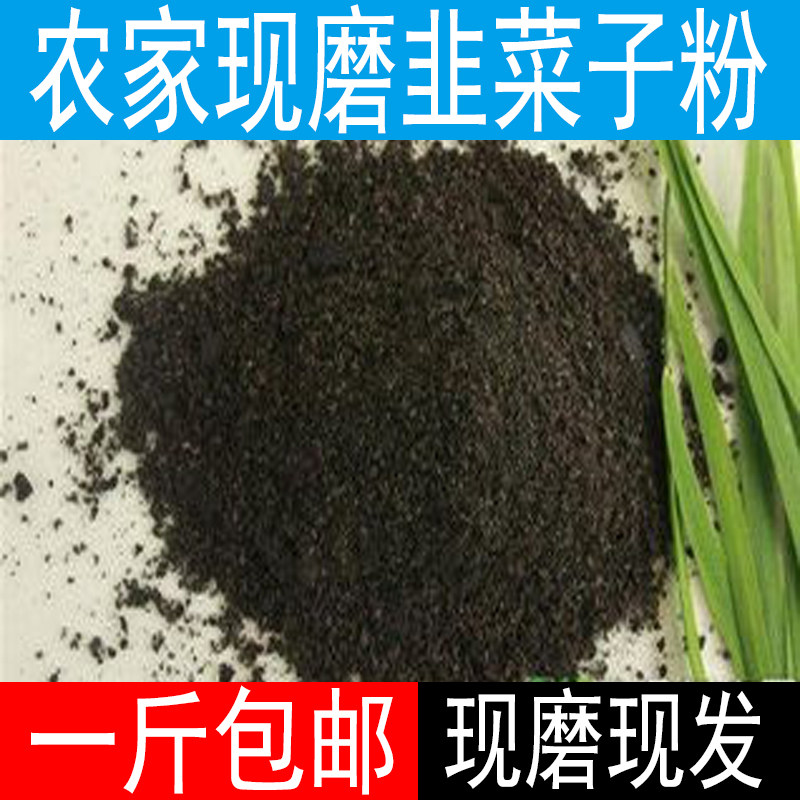 农家韭菜子粉 现磨韭菜籽粉 韭菜子打粉 泡茶泡酒药材一斤包邮