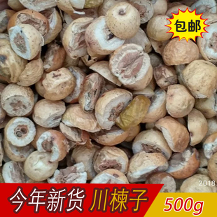 中药材 川楝子 楝实 金铃子 仁枣 苦楝子 楝子川楝树子 500g 包邮