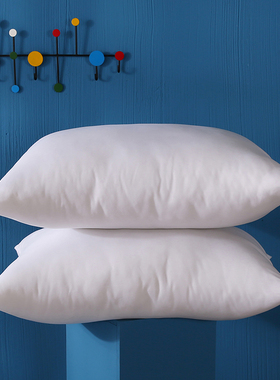 简约白色新款加厚磨毛方枕芯抱枕芯柔软亲肤护颈椎汽车沙发靠垫枕