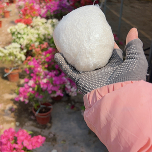 5斤三角梅专用肥