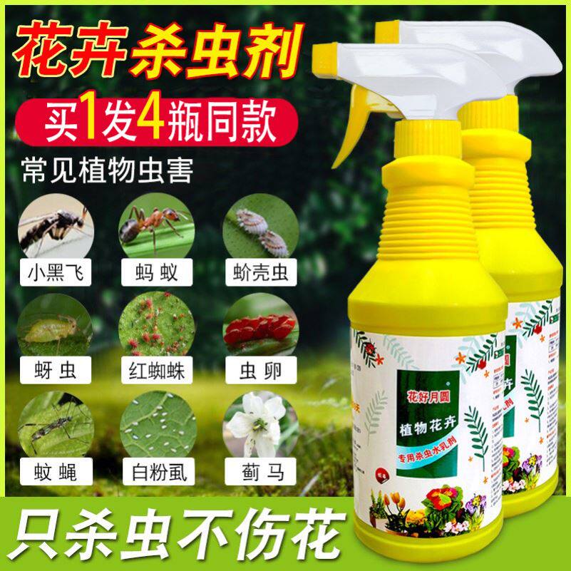 杀花盆小黑飞虫菊花长寿茉莉栀子花生虫子药杀虫剂室内盆栽花去虫