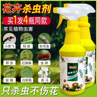 杀花盆小黑飞虫菊花长寿茉莉栀子花生虫子药杀虫剂室内盆栽花去虫