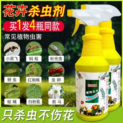 杀花盆小黑飞虫菊花长寿茉莉栀子花生虫子药杀虫剂室内盆栽花去虫