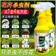 杀花盆小黑飞虫菊花长寿茉莉栀子花生虫子药杀虫剂室内盆栽花去虫