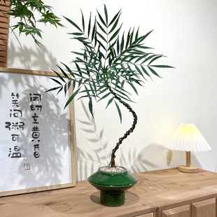 禅意造型十大功劳盆栽盆景室内外客厅书房好养易活观叶花卉绿植