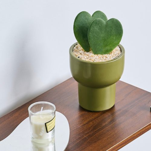 心叶球兰盆栽ins风植物好养