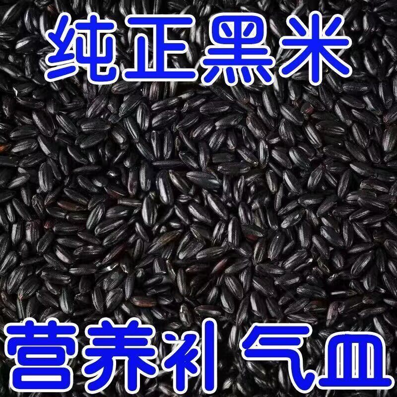 纯正新鲜黑米糖尿病人专用食品养脾胃适合三高糖尿病孕妇控糖高血压患者吃专用主食无蔗糖零食营养食物代糖0卡糖木糖醇糖五谷杂粮