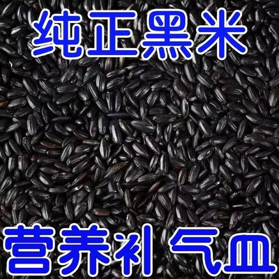 纯正新鲜黑米糖尿病人专用食品养脾胃适合三高糖尿病孕妇控糖高血压患者吃专用主食无蔗糖零食营养食物代糖0卡糖木糖醇糖五谷杂粮