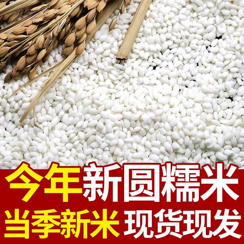 当季新糯米糖病人专用食品养脾胃适合三高糖尿病孕妇控糖高血压患者吃专用主食无蔗糖零食营养食物代糖0卡糖木糖醇糖五谷杂粮