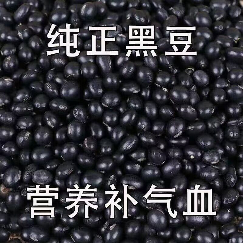 补肾补气血黑豆糖病人专用食品养脾胃适合三高糖尿病孕妇控糖高血压患者吃专用主食无蔗糖零食营养食物代糖0卡糖木糖醇糖五谷杂粮
