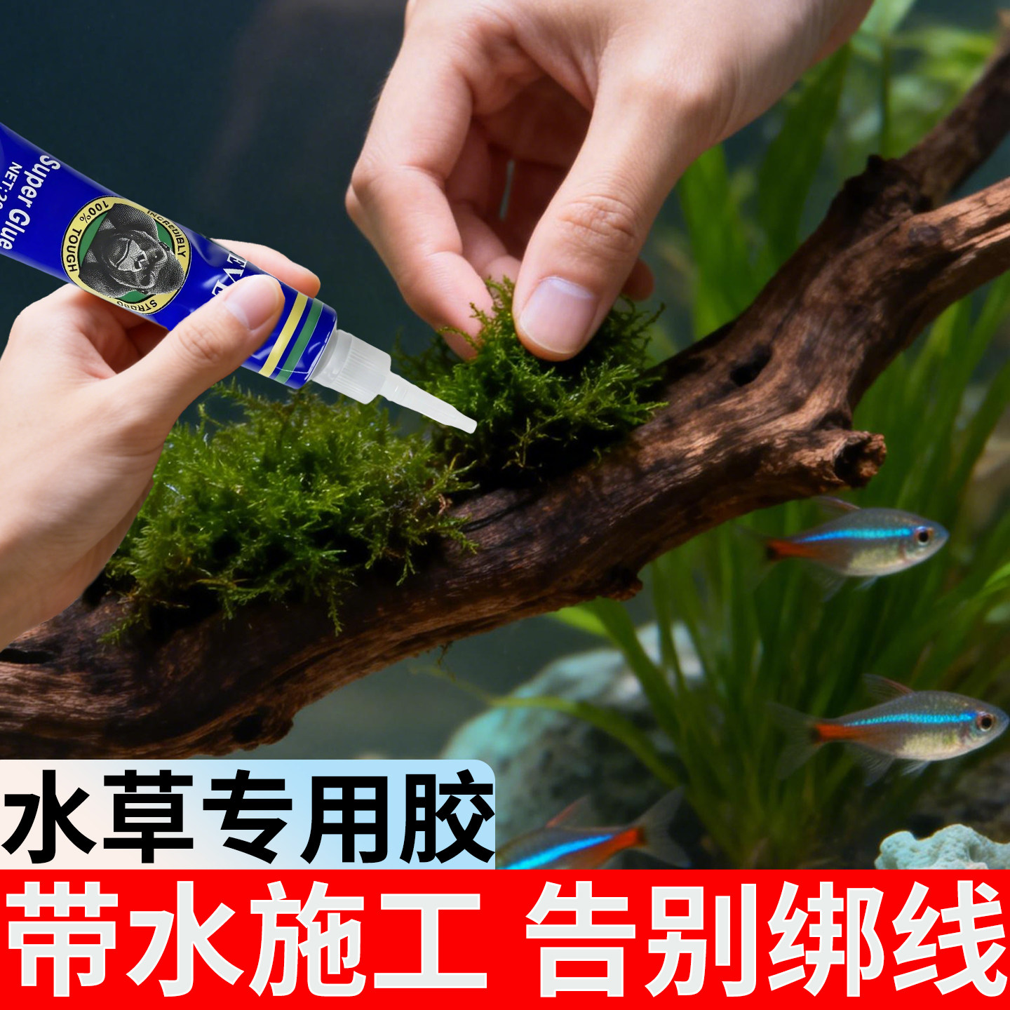 水草专用胶珊瑚莫斯石头造景沉木透明强力速干骨架胶小型生态鱼缸水族微景观胶水海缸杜鹃根青龙石假山固定胶,文具电教/文化用品/商务用品,胶水,淘宝优惠券,粉丝福利购,淘宝优惠卷