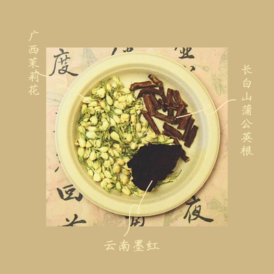 小康食记茉莉蒲公英根墨红养生茶