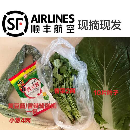【顺丰空运】东北饭包大白菜叶蘸酱菜小葱香菜白菜叶子打饭包菜叶