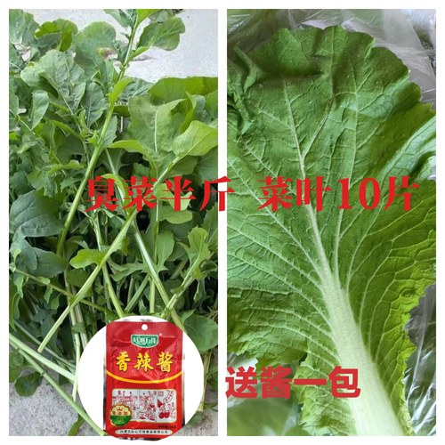 【现摘现发】东北饭包白菜叶、臭菜套餐包邮发货送酱一包