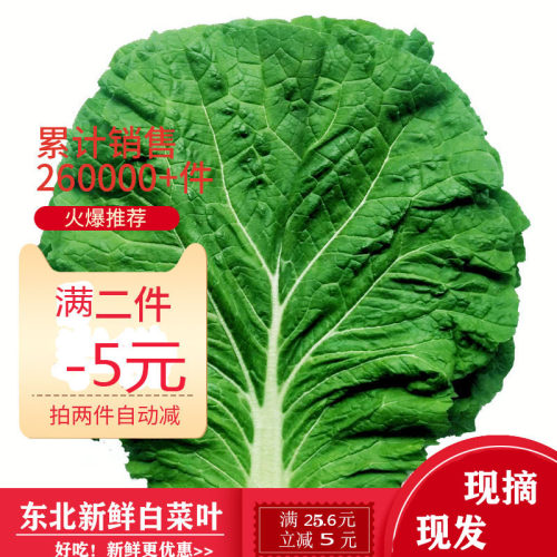 现摘白菜叶饭包叶新鲜蔬菜即食