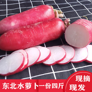 东北水萝卜红皮萝卜新鲜蔬菜蘸酱菜红皮白心白肉红萝卜4斤装包邮