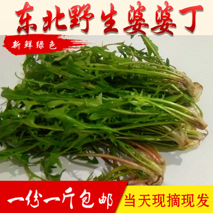 东北新鲜婆婆丁山野菜野生蒲公英蘸酱菜山菜苦菜苦麻子500g一份