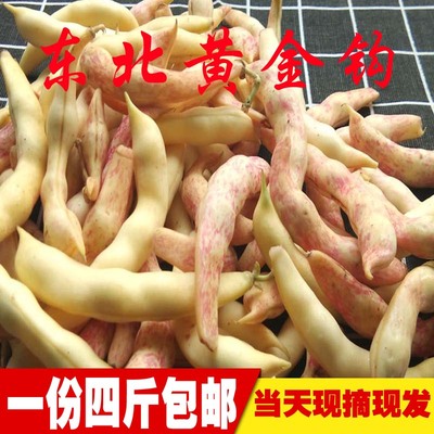 东北油豆角新鲜黄金勾豆角鼓豆豆角勾勾黄豆角兔子翻白眼4斤包邮